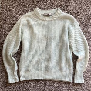 Everlane alpaca crew neck sweater